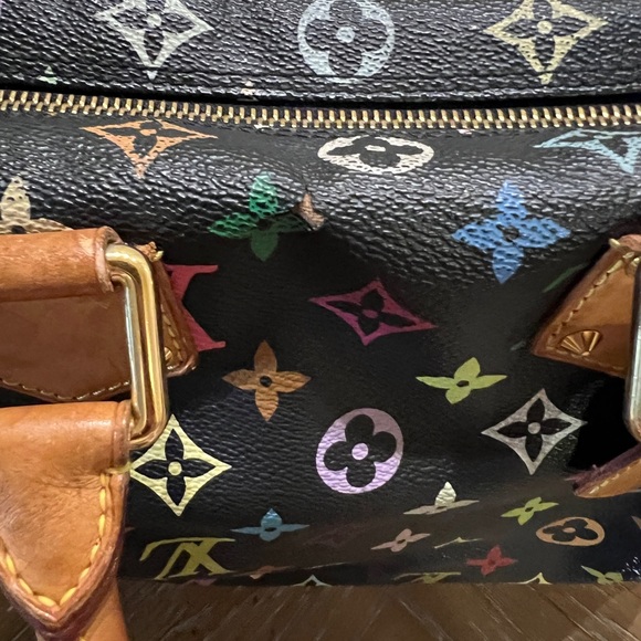Louis Vuitton Multicolor Speedy Takashi Murakami - Picture 10 of 12